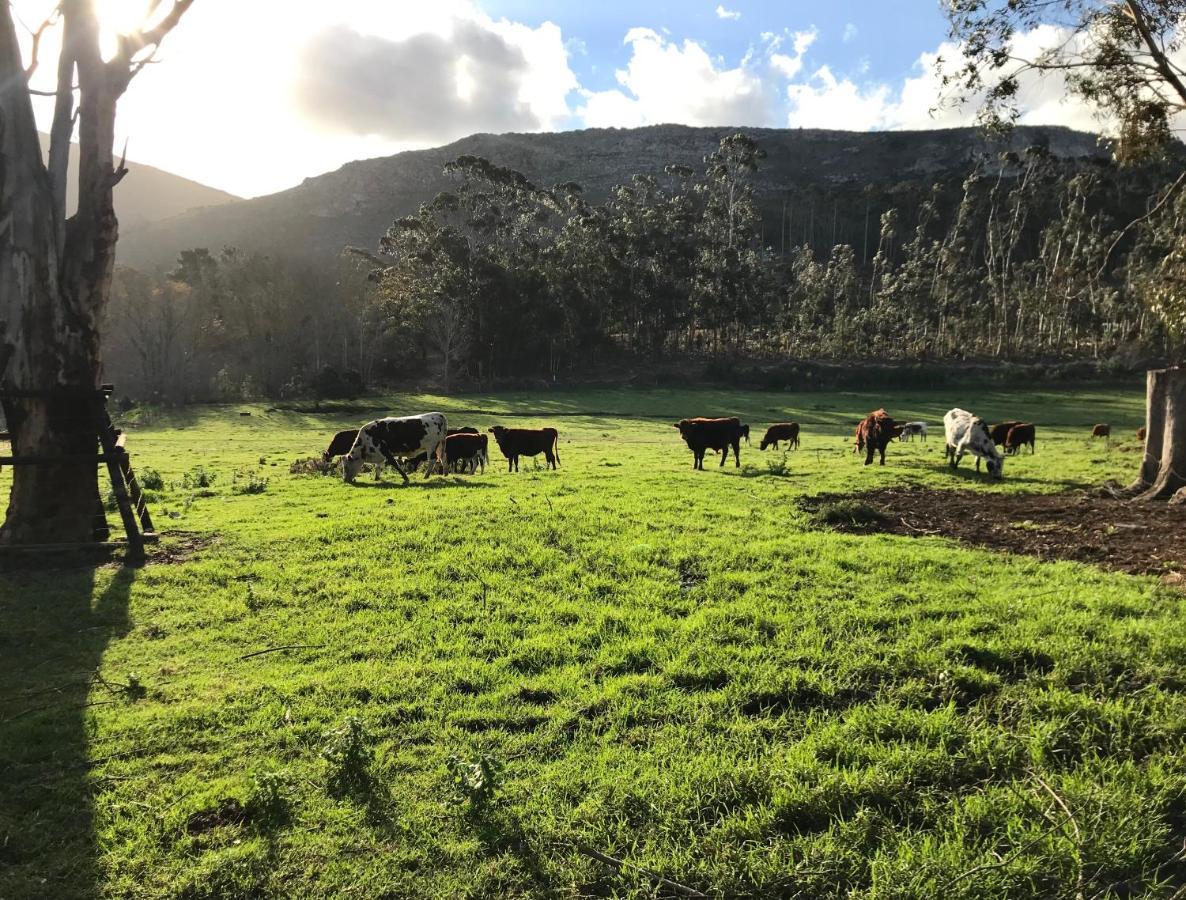 Kleine Vrede Farm *