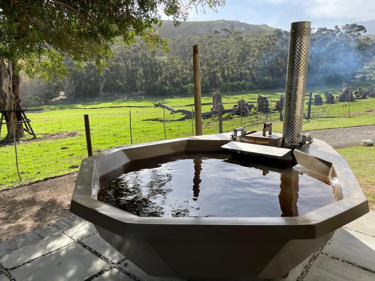 Kleine Vrede Farm * Hermanus
